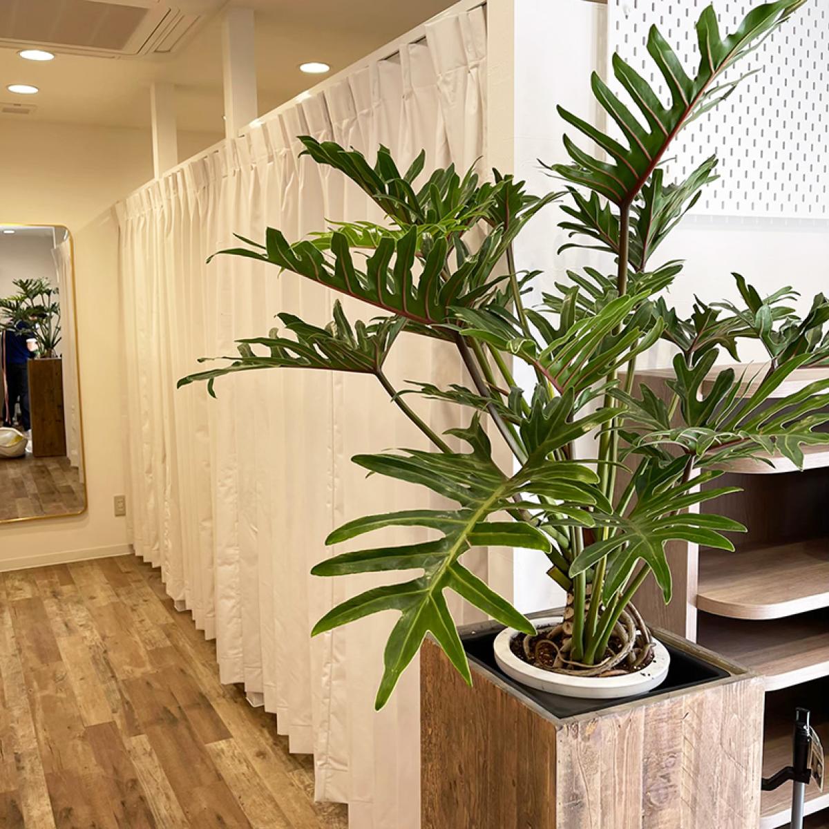 店舗改装 アクア整骨院 草津店