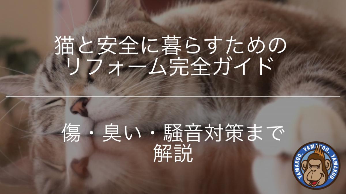 猫と安全に暮らすためのリフォーム完全ガイド|傷・臭い・騒音対策まで解説